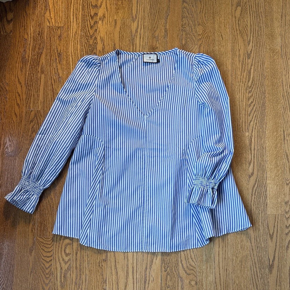 Tuckernuck Blue and White Striped V-Neck Puff Sleeve Blouse